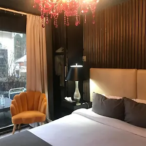Style Basement Homestay